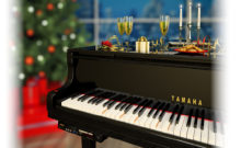 Pre Holiday Piano Savings Event