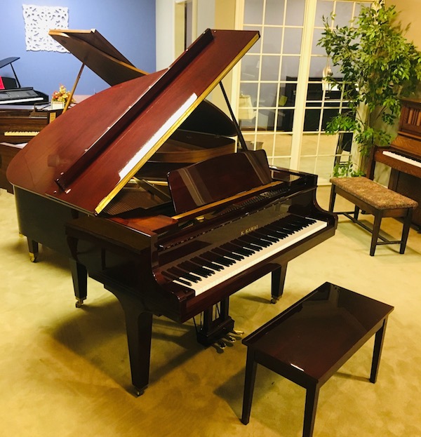 Kawai GM-10