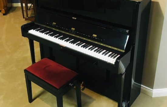 Petrof Professional Upright